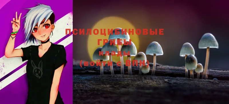 Галлюциногенные грибы Magic Shrooms  Дальнереченск 